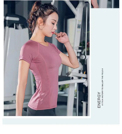 Ladies Sportswear Yoga Wear Quick Dry Seamless short sleeve Gym T-Shirt Tops